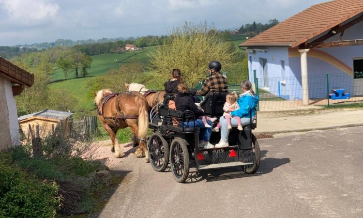 Balade en calèche
